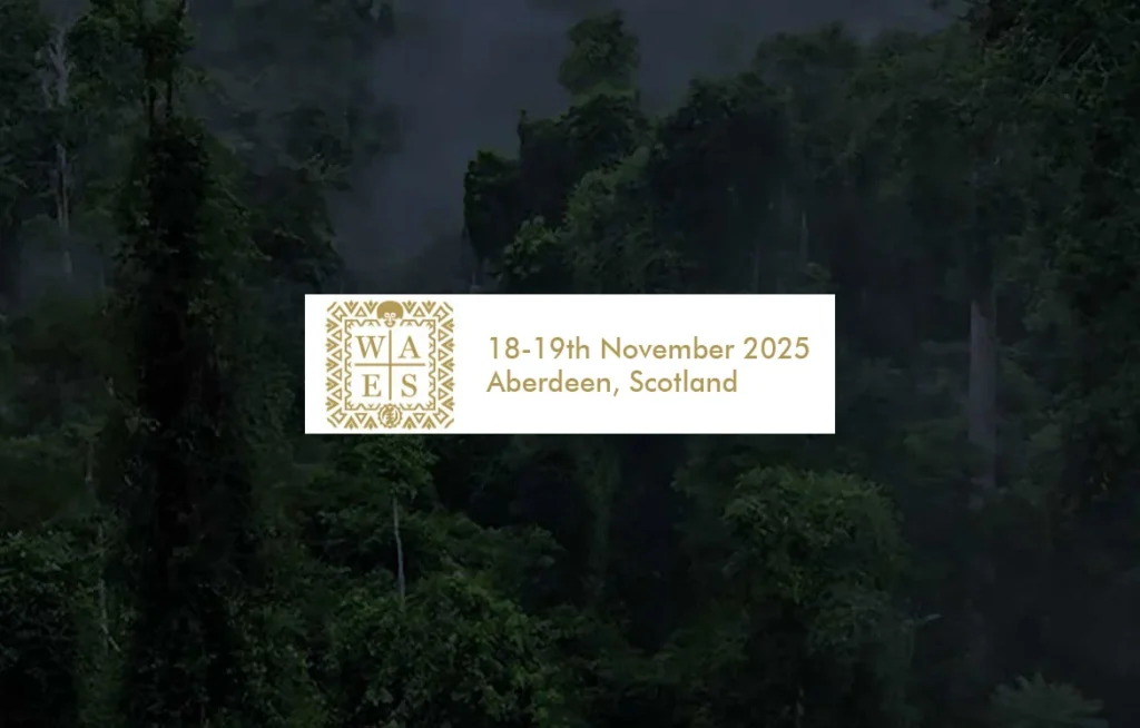 Wider Africa Energy Summit (WAES) 2025