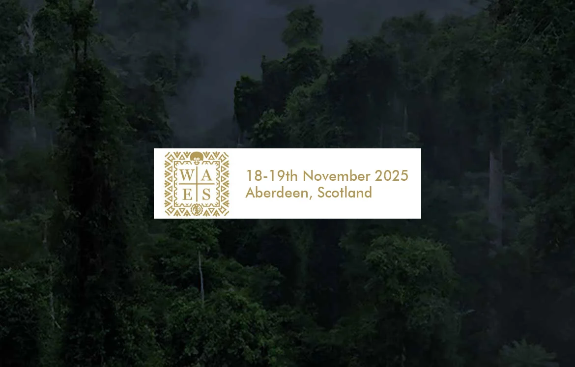 Wider-African-Energy-Summit-18-19th-November-2025-WAES2025